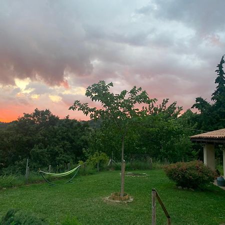 Agriturismo Il Covo Del Solengo Valtopina Eksteriør billede