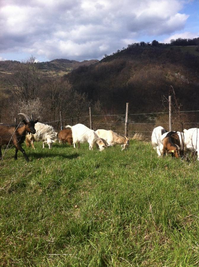 Agriturismo Il Covo Del Solengo Valtopina Eksteriør billede
