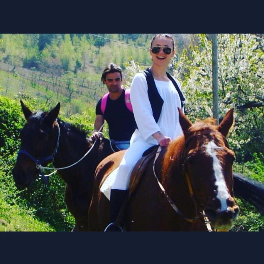Agriturismo Il Covo Del Solengo Valtopina Eksteriør billede