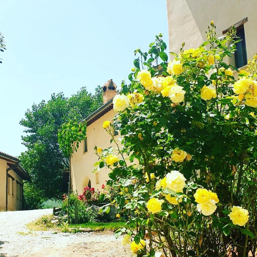 Agriturismo Il Covo Del Solengo Valtopina Eksteriør billede