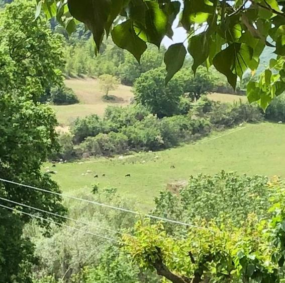 Agriturismo Il Covo Del Solengo Valtopina Eksteriør billede