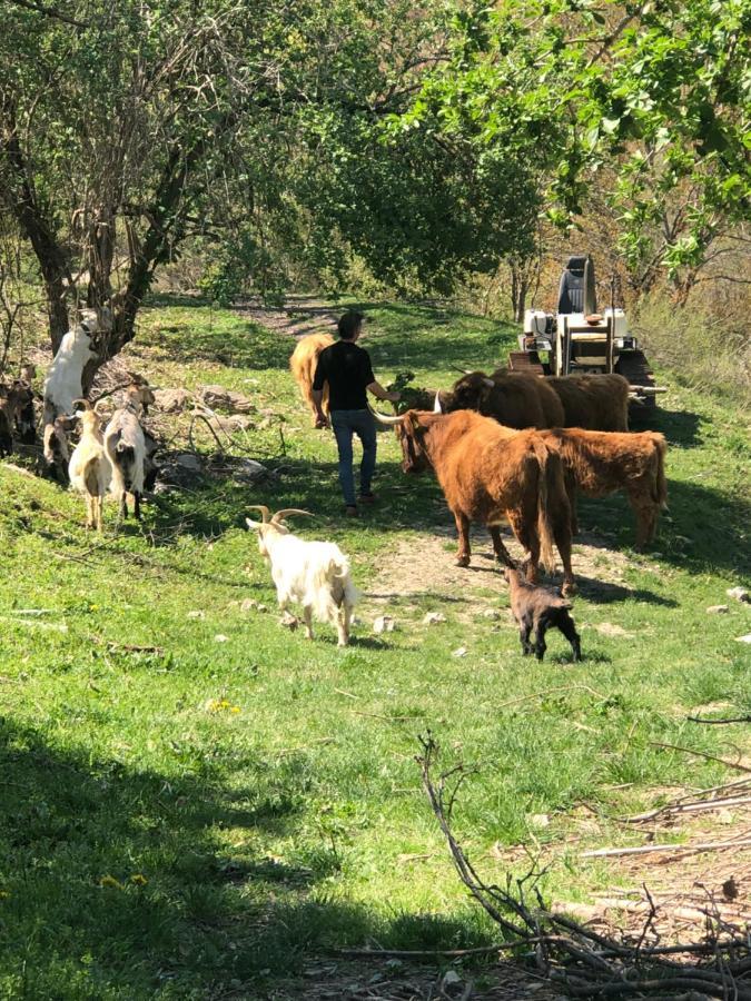Agriturismo Il Covo Del Solengo Valtopina Eksteriør billede