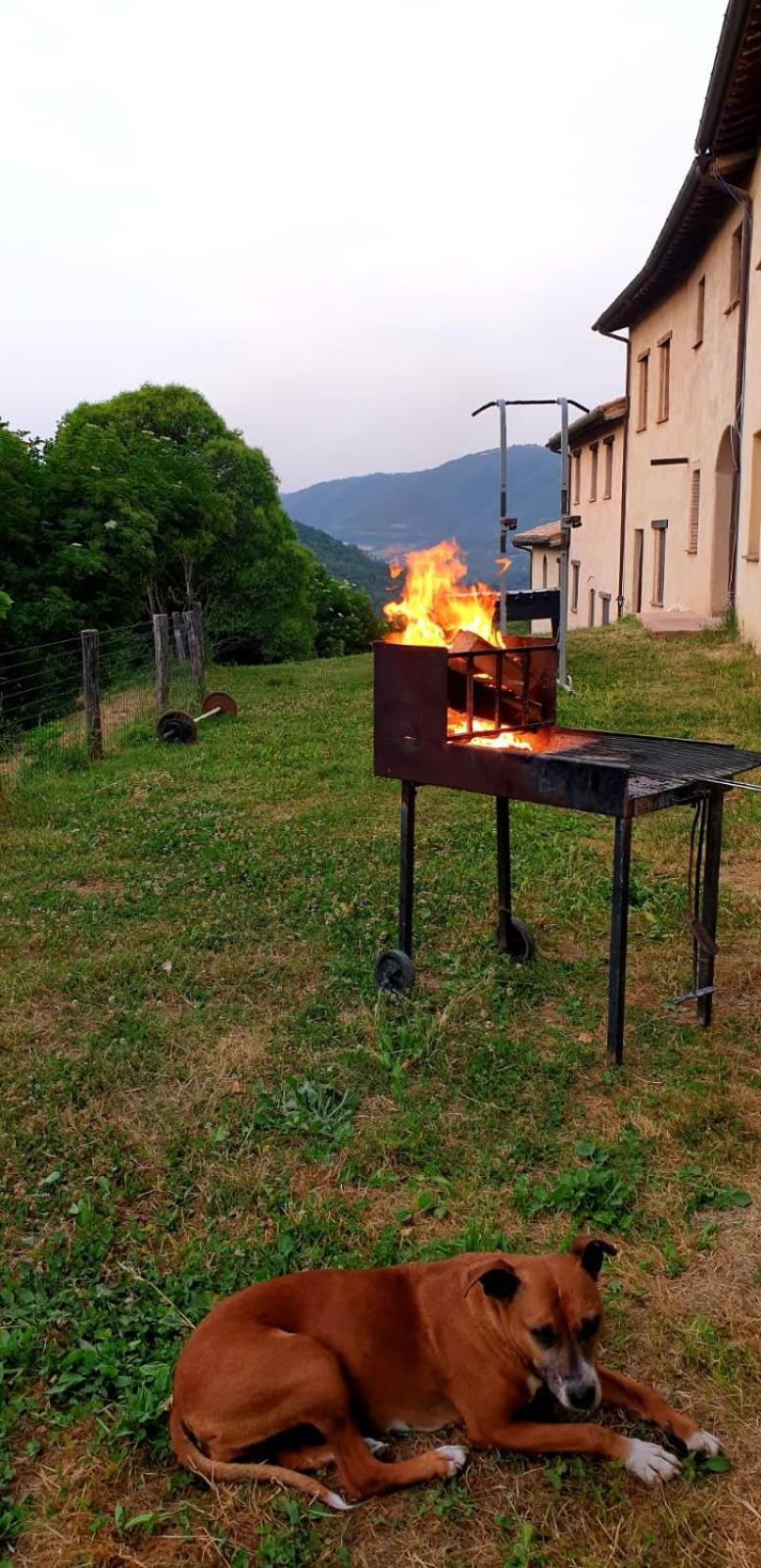 Agriturismo Il Covo Del Solengo Valtopina Eksteriør billede